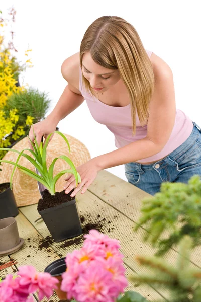 Gardening - woman with shovel take care of plant — Stock Photo, Image