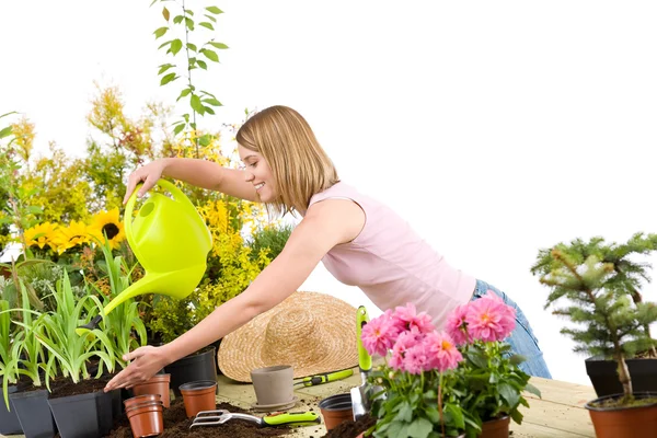 庭いじりをする-女性の植物に水を注ぐ — ストック写真