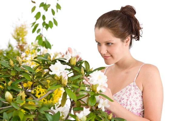 Ogrodnictwo - kobieta z rododendronów kwiat kwitnąć — Zdjęcie stockowe