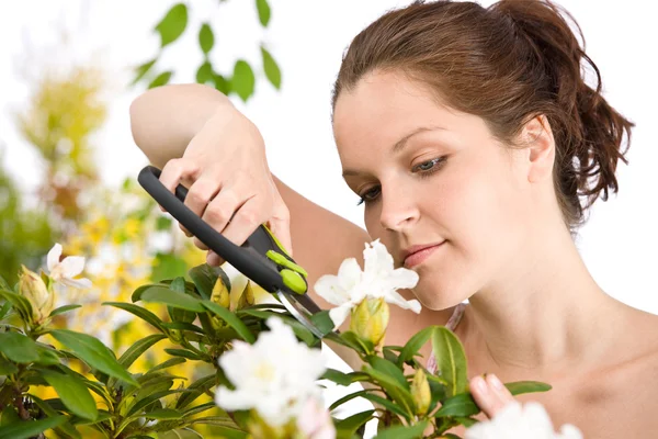Садівництво - жінка, що ріже квітку з обрізаними ножицями — стокове фото