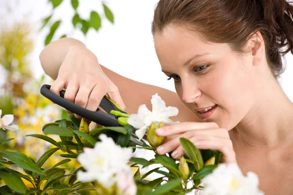 Zahradnictví - žena stříhání květin s zahradnické nůžky — Stock fotografie
