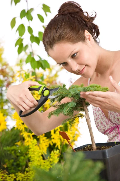 Trädgårdsskötsel Kvinna Styckning Träd Med Sekatörer Vit Bakgrund — Stockfoto