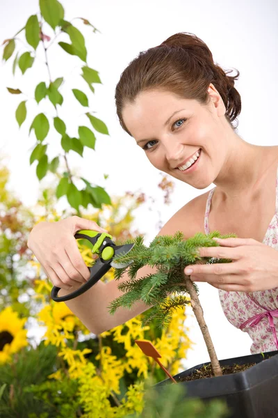 Gartenarbeit - Frau schneidet Baum mit Baumschere — Stockfoto