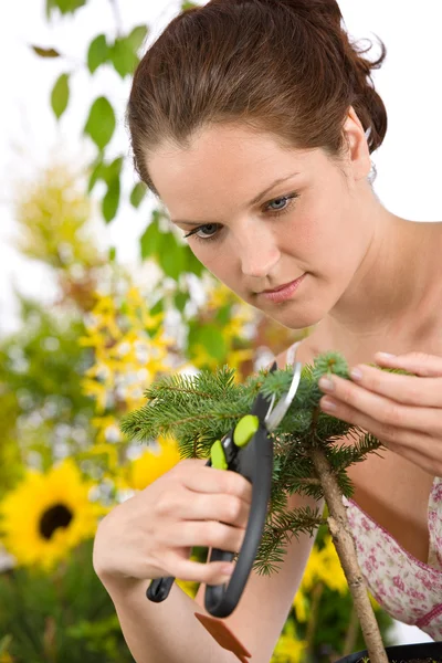 Jardinería Mujer Cortando Árbol Con Tijeras Podar Sobre Fondo Blanco — Foto de Stock