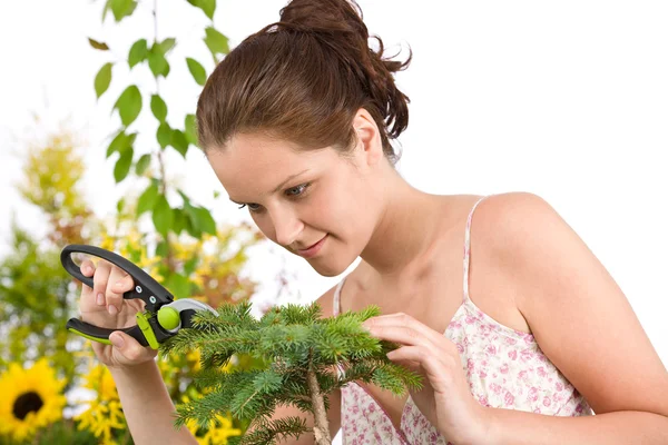 Gardening - woman cutting tree with pruning shears — Stock Photo, Image