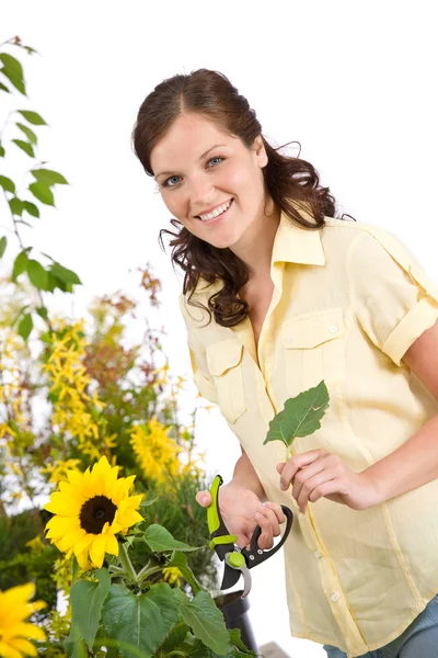 Tuinieren Lachende Vrouw Met Zonnebloemen Snoeischaar Witte Achtergrond — Stockfoto