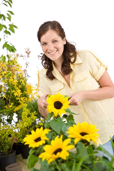 Садоводство - женщина с подсолнечником и обрезкой ножниц — стоковое фото