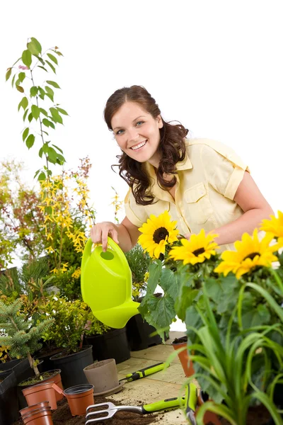 Gartenarbeit - Frau gießt Sonnenblumen mit Gießkanne — Stockfoto