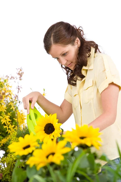 Ogrodnictwo - kobieta odlewania słoneczniki z konewka — Zdjęcie stockowe