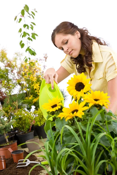 Gardening - Woman pouring sunflowers with watering can — Stock Photo, Image