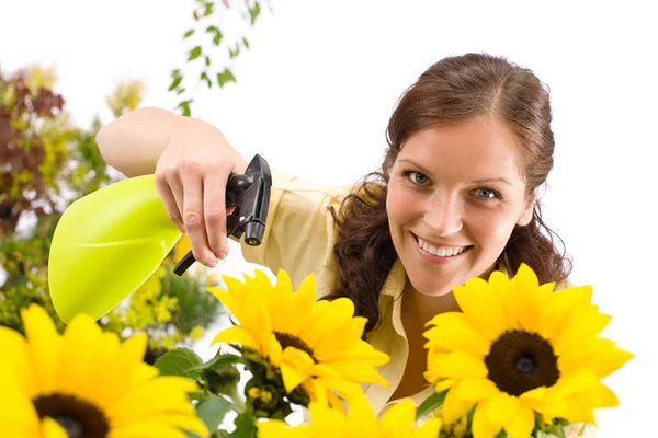 Gardening - woman sprinkling water on sunflower — Stock Photo, Image