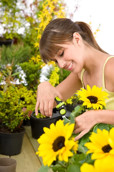 Zahradnictví Žena Řezání Slunečnice Zahradnické Nůžky Bílém Pozadí — Stock fotografie