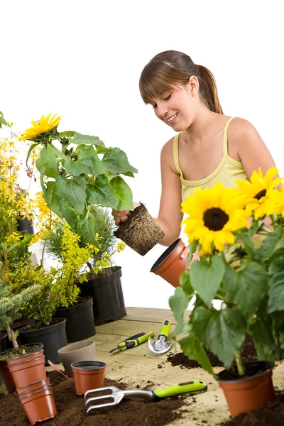 Садівництво - усміхнена жінка тримає квітковий горщик з соняшником — стокове фото
