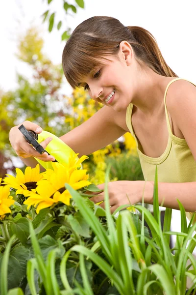Zahradnictví - žena kropení vodou na slunečnicový květ — Stock fotografie