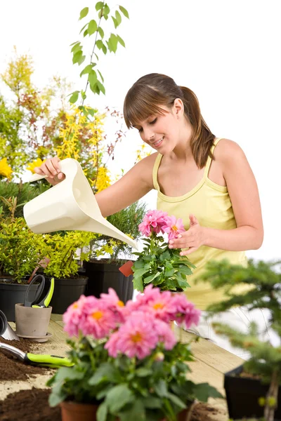 Jardinagem Mulher Com Regador Flores Derramando Água Fundo Branco — Fotografia de Stock