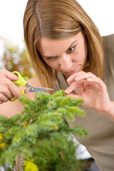 女人修整云杉树 剪刀和手上的焦点 — 图库照片