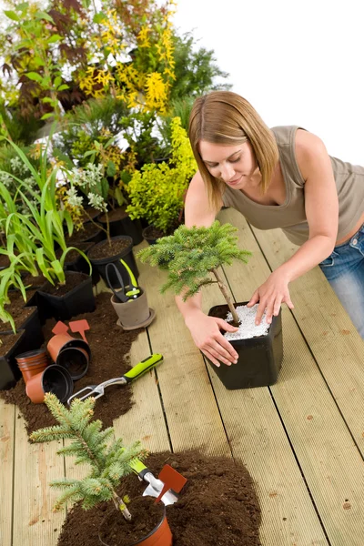 世話を庭いじりをする 女性の盆栽の木と植物 — ストック写真