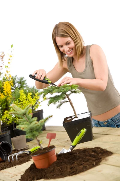Jardinagem - mulher cortando bonsai árvore — Fotografia de Stock
