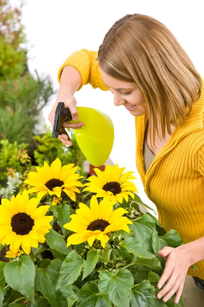Gartenarbeit Frau Bestreut Sonnenblumen Mit Wasser Auf Weißem Hintergrund — Stockfoto