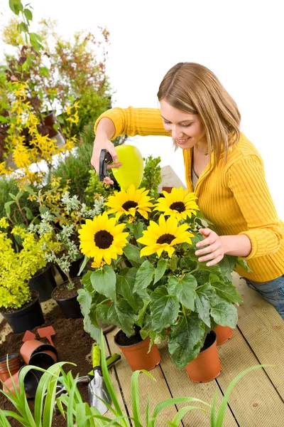 Ogrodnictwo - kobieta zraszanie wodą słoneczniki — Zdjęcie stockowe