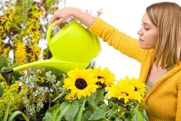 Садоводство - женщина наливает воду в цветы — стоковое фото