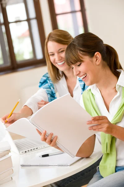 学生在家里-笔记本电脑两个幸福女人 — 图库照片