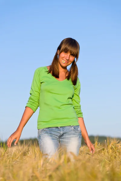 Young woman in sunset corn field — Stock Photo, Image