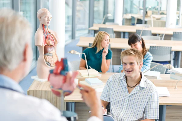 Université - étudiants en médecine avec modèle anatomique — Photo