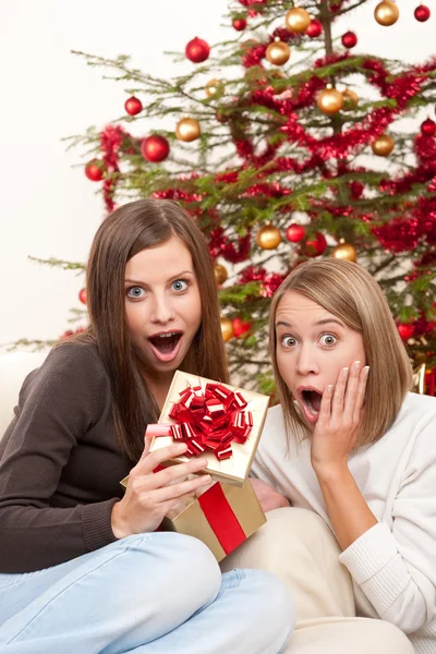 Två leende kvinnor med julklapp — Stockfoto