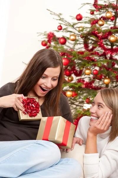 Dos Mujeres Sonrientes Con Regalo Navidad Delante Del Árbol — Foto de Stock