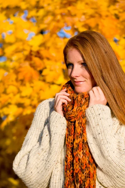 秋季国家日落-红头发女人 免版税图库图片