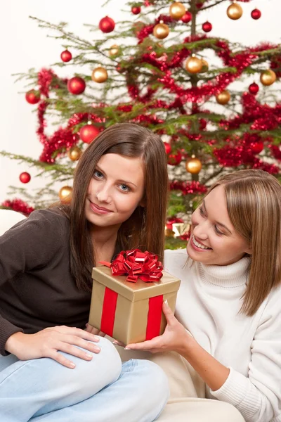 Zwei Lächelnde Frauen Mit Weihnachtsgeschenk Vor Dem Baum lizenzfreie Stockfotos