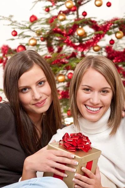 Two Smiling Women Christmas Present Front Tree Stock Picture