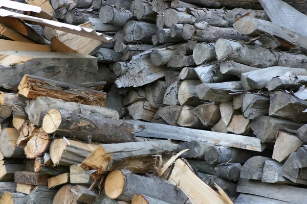 Pile of logs — Stock Photo, Image