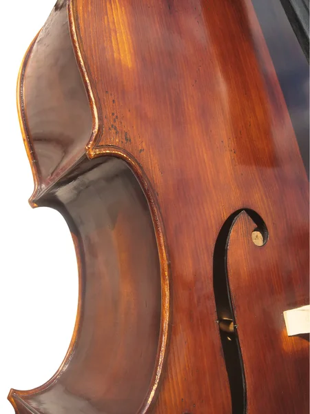 stock image Contrabass - detail