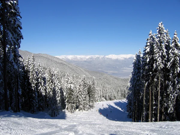 Helling van de skiën in bansko, Bulgarije — Stockfoto