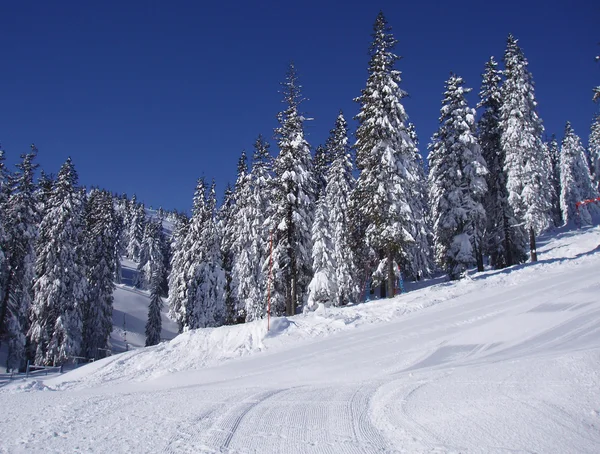 Skidor pisten — Stockfoto