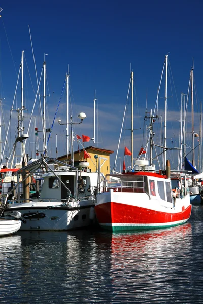 stock image Boats in harbor