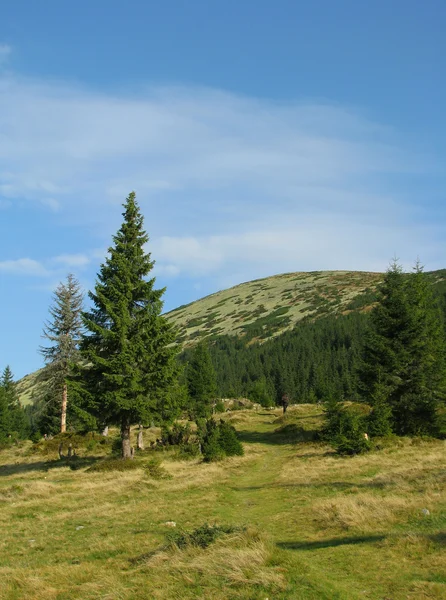 Gorgany-Region in den Karpaten — Stockfoto