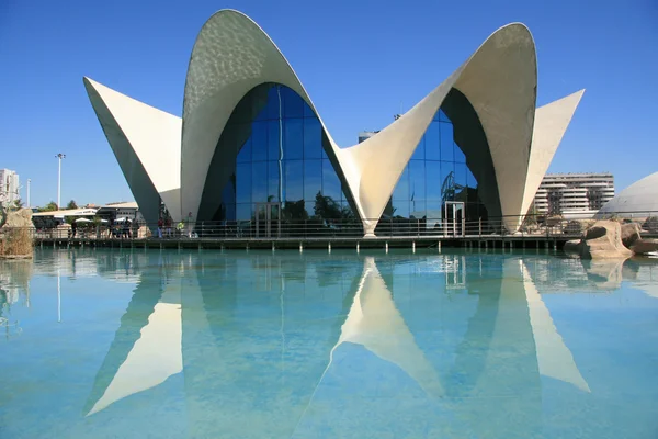 Weergave van L'Oceanografic in Valencia — Stockfoto