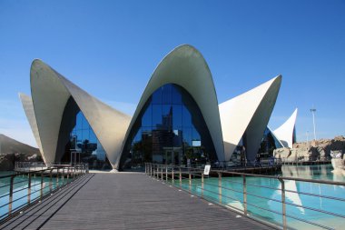 View of L'Oceanografic in Valencia clipart