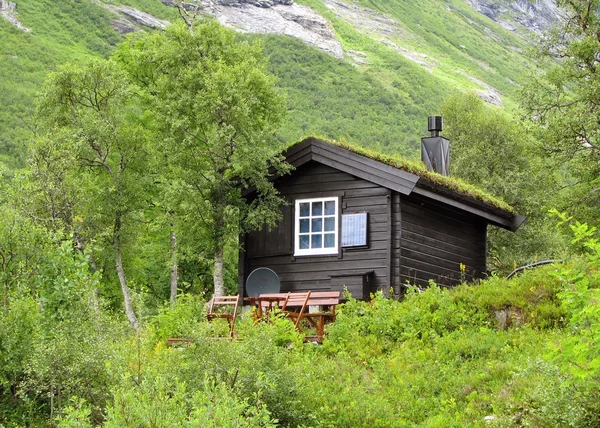 Типичный норвежский дом с травой на крыше — стоковое фото
