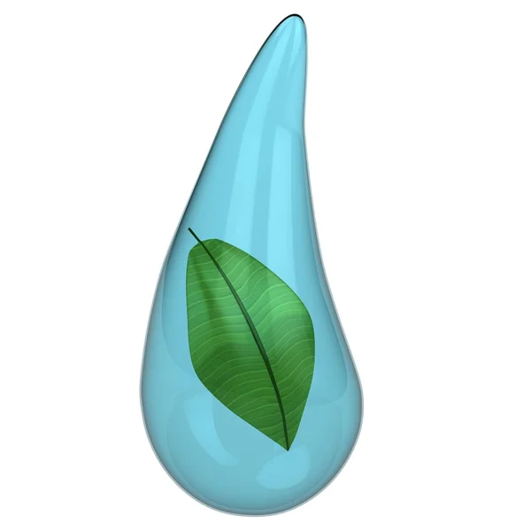 Зелена рослина в краплі води — стокове фото
