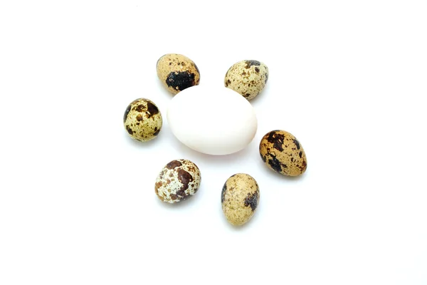 Quail eggs with white egg — Stock Photo, Image