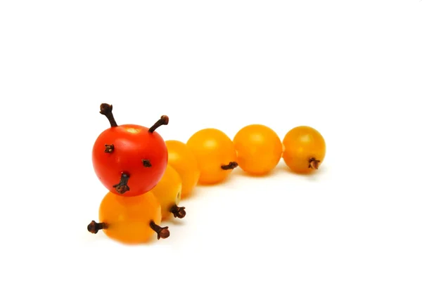 Caterpillar è creato con un pomodoro — Foto Stock