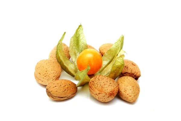 Physalis and nuts — Stock Photo, Image