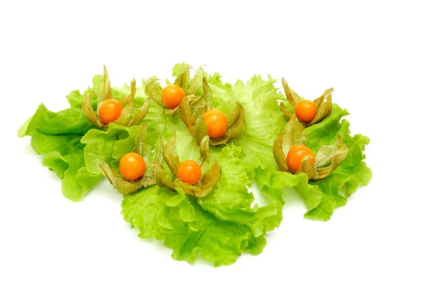 Stock image Physalis and salad