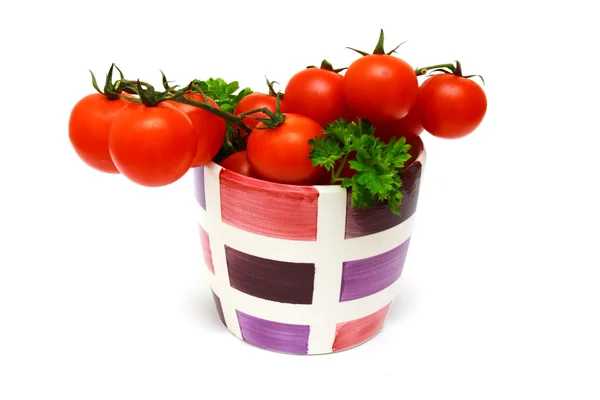 Tomates frescos de vid roja — Foto de Stock