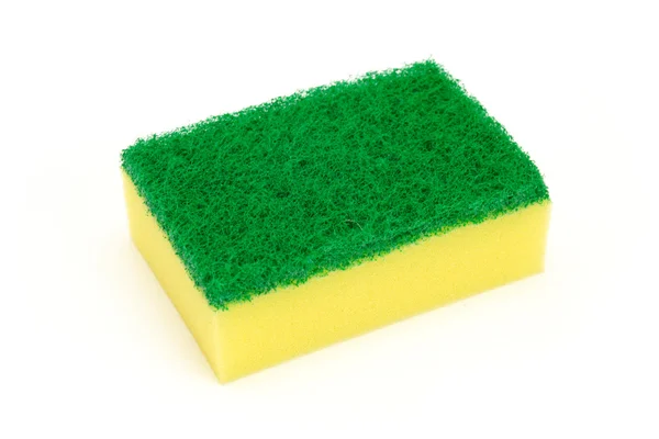 stock image Sponge