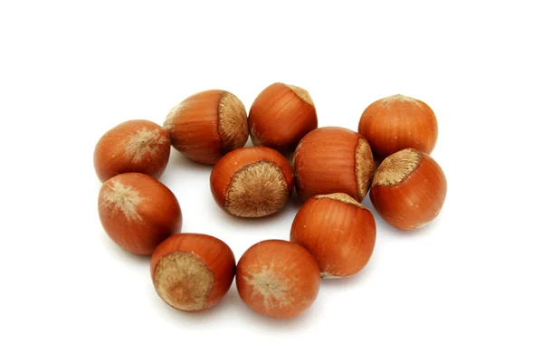 Shot of hazelnuts — Stock Photo, Image